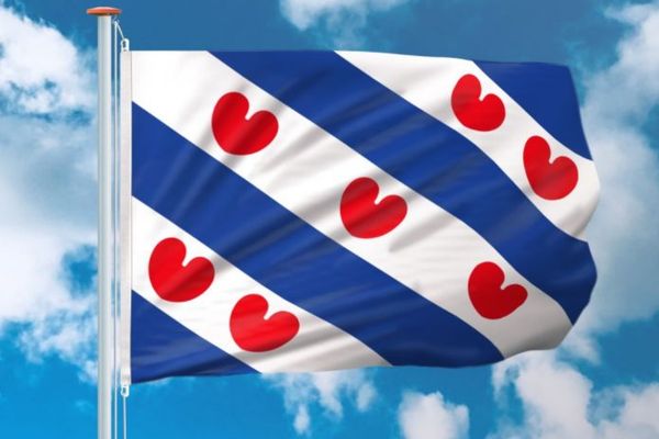 Friese Vlaggen