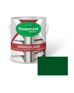 HOOGGLANS 250ML 25 GROEN KOOPMANS
