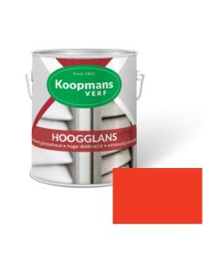 HOOGGLANS 250ML 10 ORANJE KOOPMANS