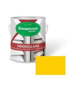 HOOGGLANS 250ML 45 GEEL KOOPMANS