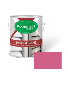 HOOGGLANS 250ML 537 BALSEMIEN KOOPMANS