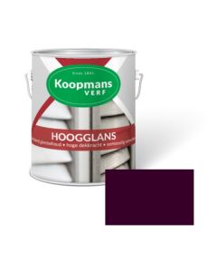 HOOGGLANS 250ML 547 BRAAM KOOPMANS
