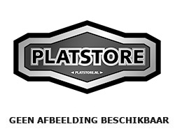 Eenvoud tanker kleding Platstore.nl | ZELFTAPPERS 2.9X 25 RVS D7981C 200-ST