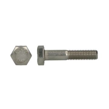 MOERBOUT 10X100 RVS DIN-931