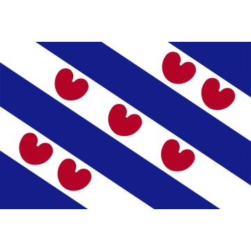 VLAG FRIESLAND 100-150 CM DVC