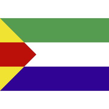VLAG HET BILDT 100-150 CM