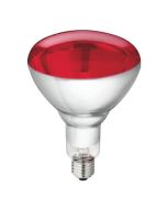 WARMTELAMP 250W ROOD