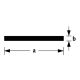RVS STRIP 40X6