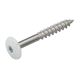 TRESPA SCHROEVEN 4.8X25 WIT RVS 100 ST