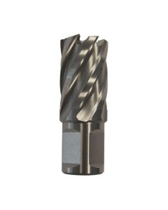 Kernboor 22 mm diepte 25mm weldon