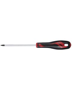 SCHROEVENDR.TORX.TX10 x 100 TENG TOOLS