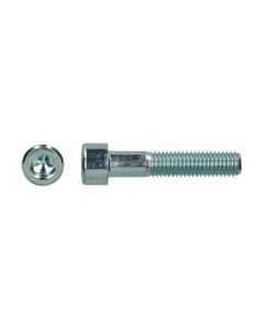 INBUSBOUT  5X 25 RVS CIL.K D912