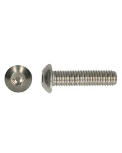 INBUSBOUTEN  6X20 RVS BK ISO 7380 200-ST