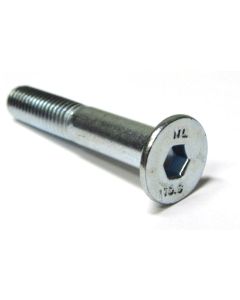 INBUSBOUT  6X 40 RVS VERZ.KOP D7991