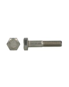MOERBOUT 10X100 RVS DIN-931