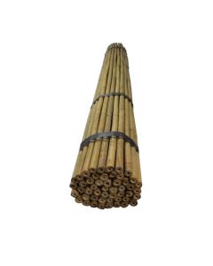 TONKINSTOK 120 CM    8/10 MM DIK