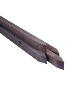 TUINPAAL HARDHOUT 300X6X6