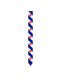 WIMPEL FRIESLAND 30X300 CM DVC