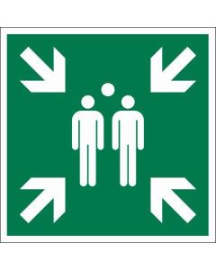 PICTOGRAM 15X15 VERZAMELPLEK CALAMITEIT