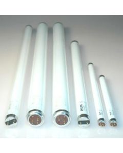 TL-BUIS  8 W INSECTENDODER