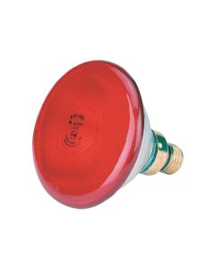 WARMTELAMP 100W ROOD