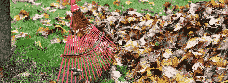 Tuinklussen in oktober: wat doe je met al dat blad?