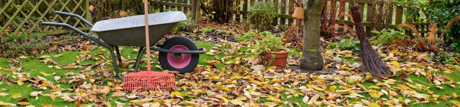herfst bladeren
